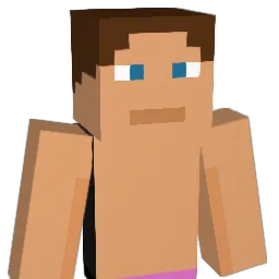 im2bias Minecraft avatar bust