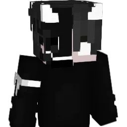 im_noob208 Minecraft avatar bust