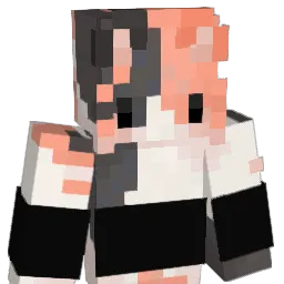 im_sushi Minecraft avatar bust