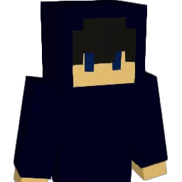 imaperson1060 Minecraft avatar bust
