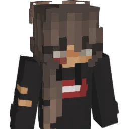 imjustinnn Minecraft avatar bust