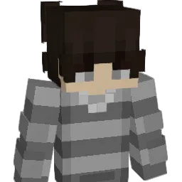 imkok123 Minecraft avatar bust