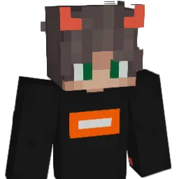 imm_sock Minecraft avatar bust