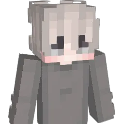 imnotAR15 Minecraft avatar bust