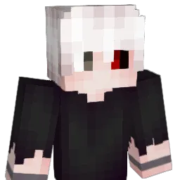 imo113 Minecraft avatar bust