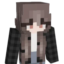 imperfection11 Minecraft avatar bust