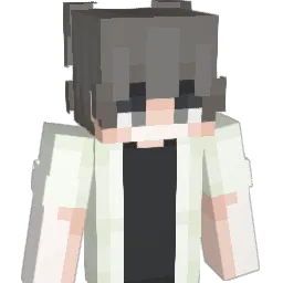 imsurely Minecraft avatar bust