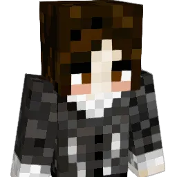 imtired245 Minecraft avatar bust
