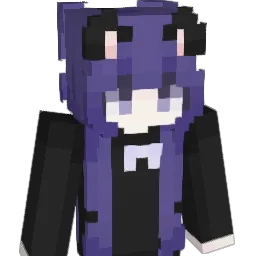 in2dust Minecraft avatar bust