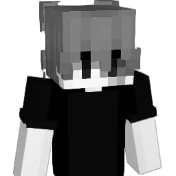 inapelavel Minecraft avatar bust