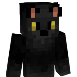 inbiddies Minecraft avatar bust