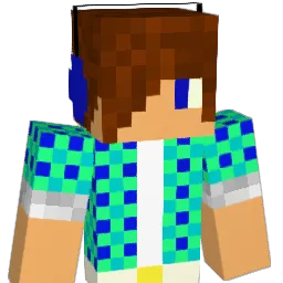 indestructible_1 Minecraft avatar bust