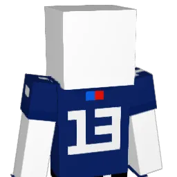indianscamcall6 Minecraft avatar bust