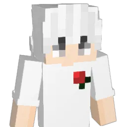 indurate Minecraft avatar bust