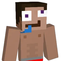 infangec33 Minecraft avatar bust