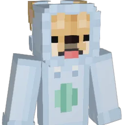 injectus Minecraft avatar bust