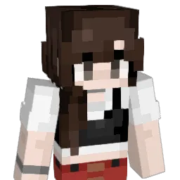 injeolmis Minecraft avatar bust