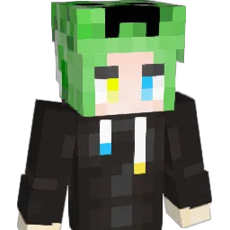 ink_711 Minecraft avatar bust