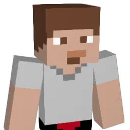 insane763 Minecraft avatar bust