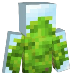 insert_end's Minecraft skin