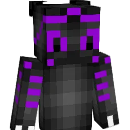 insertname2 Minecraft avatar bust