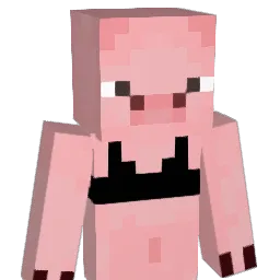 insigne23 Minecraft avatar bust