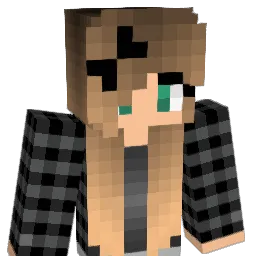 insignificantt Minecraft avatar bust
