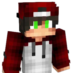 instakilla7997 Minecraft avatar bust