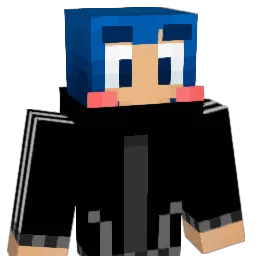 insungproblem Minecraft avatar bust