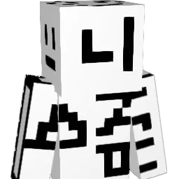 internet2349 Minecraft avatar bust