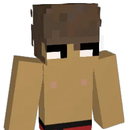 internetdebuteco Minecraft avatar bust