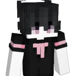 invfly's Minecraft skin