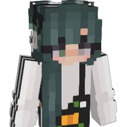 invisairplanes Minecraft avatar bust