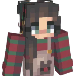 invisible208 Minecraft avatar bust