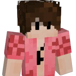 invro Minecraft avatar bust