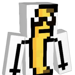 ion6868 Minecraft avatar bust