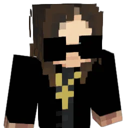 iperdolphinnl Minecraft avatar bust