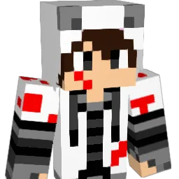 ipromis3 Minecraft avatar bust