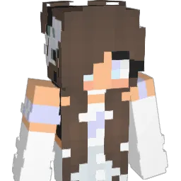 ira200 Minecraft avatar bust