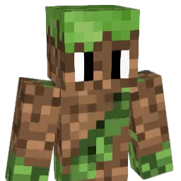 iri1852 Minecraft avatar bust