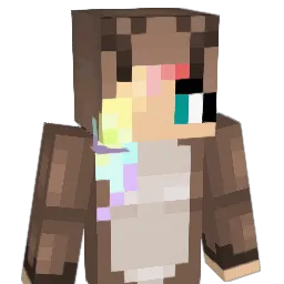 irmabr04 Minecraft avatar bust