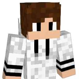 ironfist451 Minecraft avatar bust