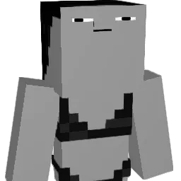 ironn88 Minecraft avatar bust