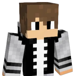 iru357 Minecraft avatar bust