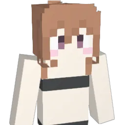 irukamiS Minecraft avatar bust
