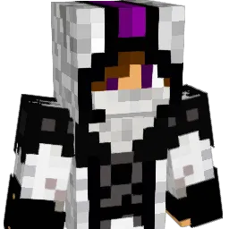 is721 Minecraft avatar bust