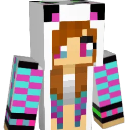 isa12345678 Minecraft avatar bust