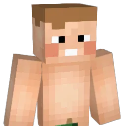 isaac180602 Minecraft avatar bust