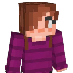 isaacwitlatch134 Minecraft avatar bust