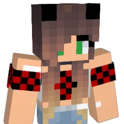 isagame08 Minecraft avatar bust